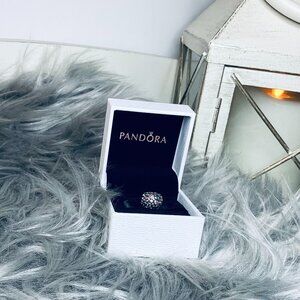 Pandora Encore Clip Charm Tourmaline CZ 925 Sterling Silver 790593TCZ Retired